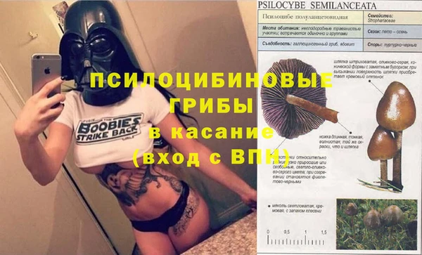 скорость Белокуриха