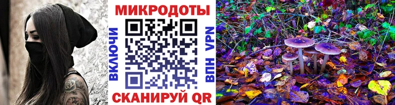 KRAKEN как войти  Белоусово  Псилоцибиновые грибы Psilocybe 